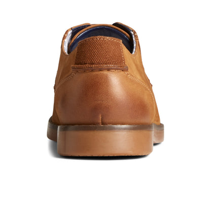 Newman Oxford Dress Shoe Medium Beige - 2