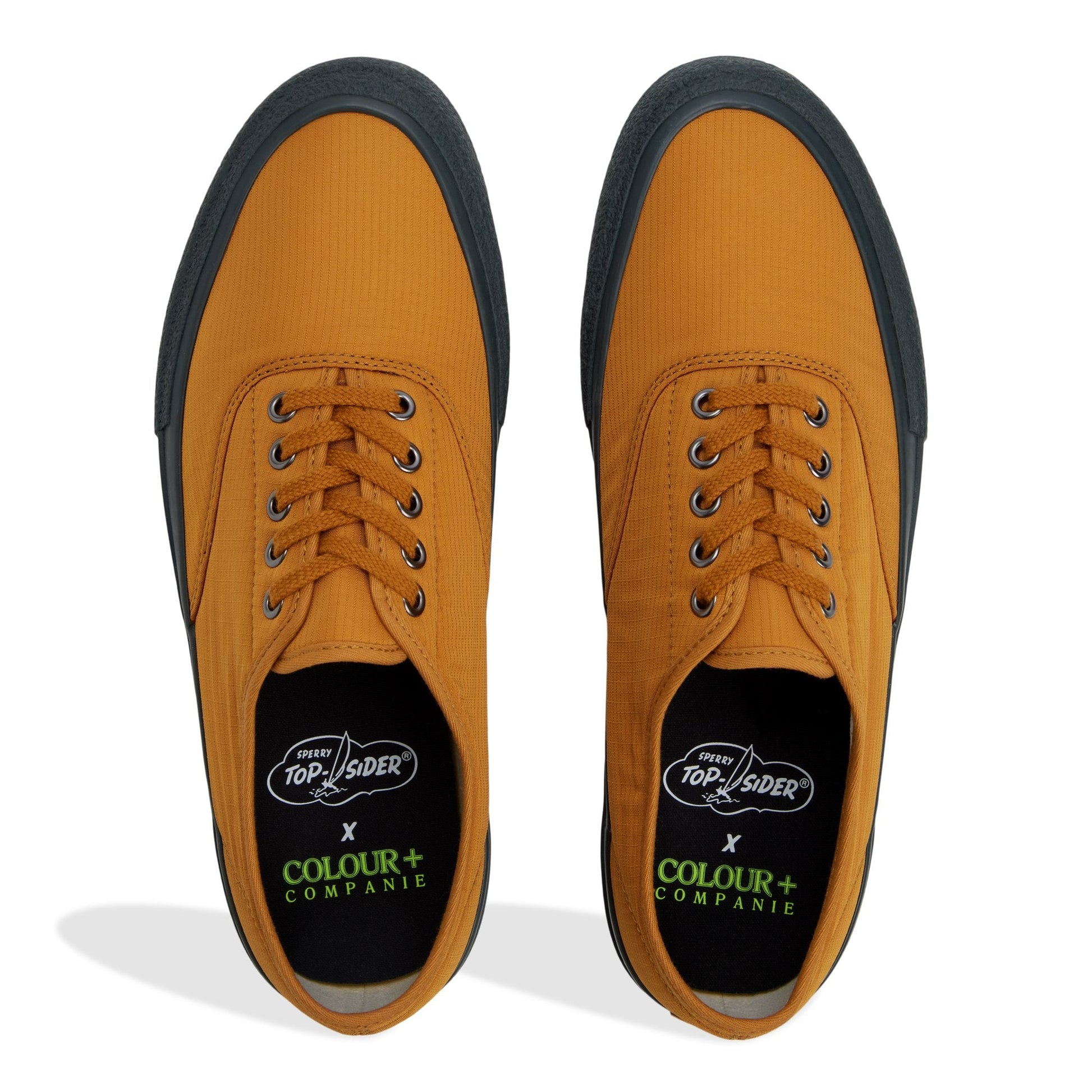 Cpc cvo Wheat Men's Sneakers